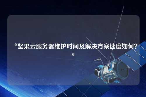 “堅果云服務器維護時間及解決方案速度如何？”