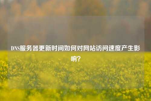 DNS服務器更新時間如何對網站訪問速度產生影響？