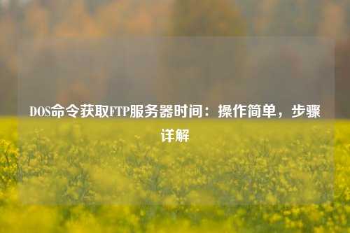 DOS命令獲取FTP服務(wù)器時(shí)間：操作簡(jiǎn)單，步驟詳解