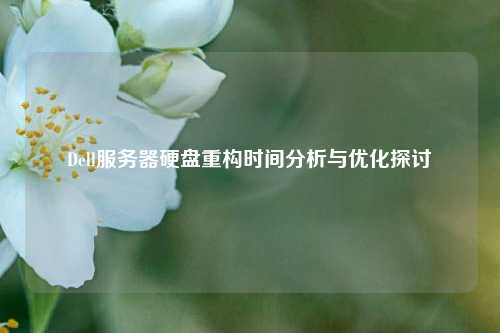 Dell服務器硬盤重構(gòu)時間分析與優(yōu)化探討