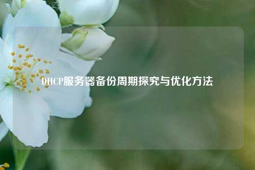 DHCP服務(wù)器備份周期探究與優(yōu)化方法