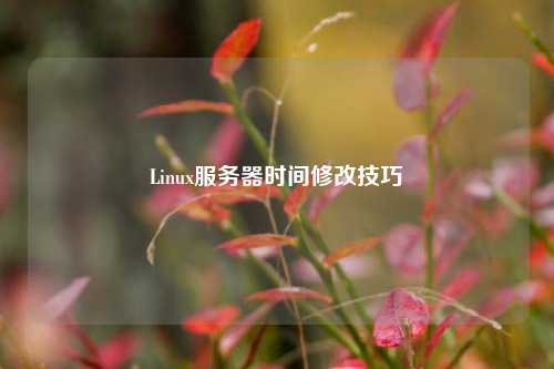 Linux服務(wù)器時間修改技巧