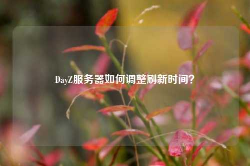 DayZ服務(wù)器如何調(diào)整刷新時(shí)間？