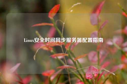 Linux安全時間同步服務器配置指南