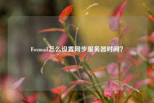 Foxmail怎么設置同步服務器時間？