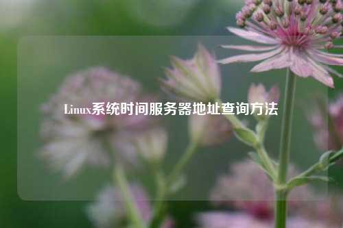 Linux系統(tǒng)時間服務器地址查詢方法