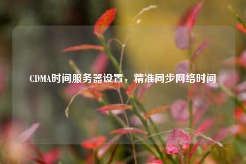 CDMA時間服務(wù)器設(shè)置，精準(zhǔn)同步網(wǎng)絡(luò)時間