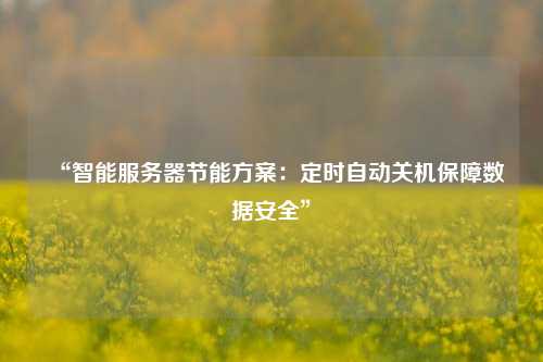 “智能服務器節能方案：定時自動關機保障數據安全”