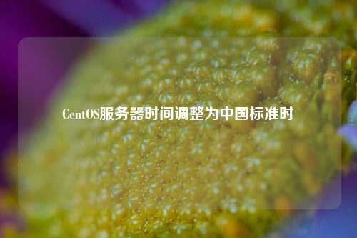 CentOS服務(wù)器時間調(diào)整為中國標(biāo)準(zhǔn)時