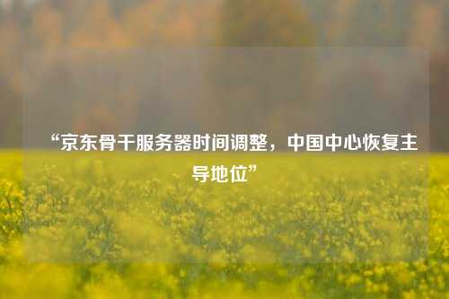 “京東骨干服務器時間調整，中國中心恢復主導地位”