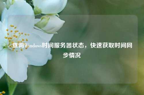 查詢Windows時(shí)間服務(wù)器狀態(tài)，快速獲取時(shí)間同步情況