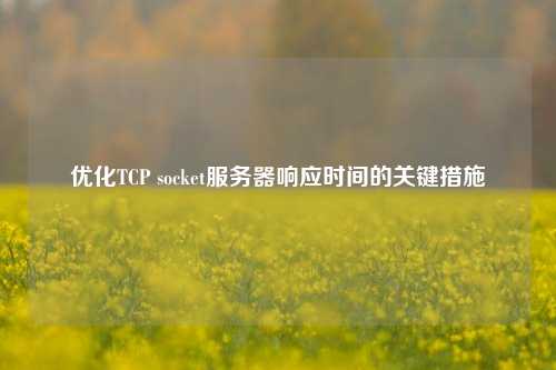 優(yōu)化TCP socket服務(wù)器響應(yīng)時間的關(guān)鍵措施