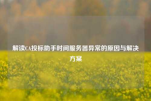 解讀CA投標助手時間服務器異常的原因與解決方案