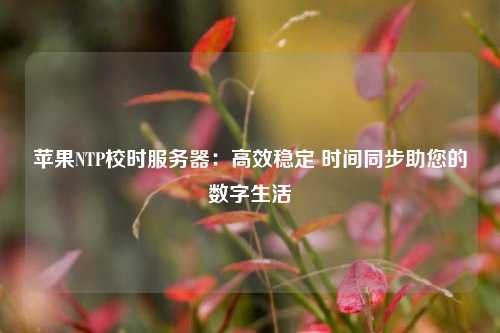 蘋果NTP校時服務器：高效穩定 時間同步助您的數字生活