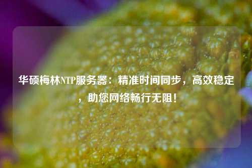 華碩梅林NTP服務器：精準時間同步，高效穩定，助您網絡暢行無阻！