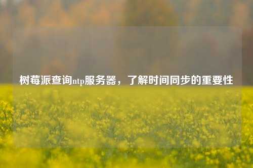 樹莓派查詢ntp服務(wù)器，了解時間同步的重要性