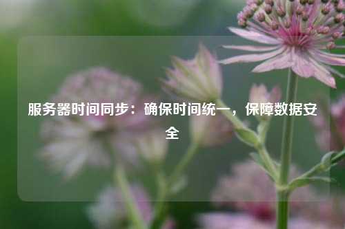 服務器時間同步：確保時間統一，保障數據安全