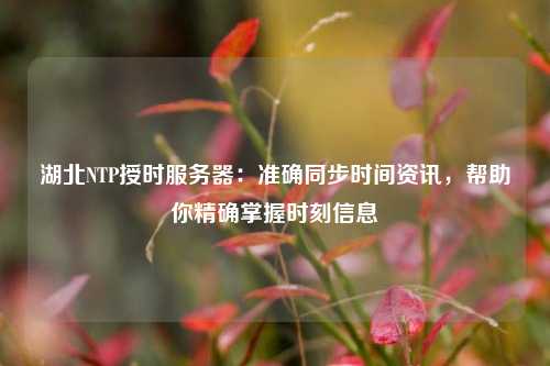 湖北NTP授時服務(wù)器：準(zhǔn)確同步時間資訊，幫助你精確掌握時刻信息