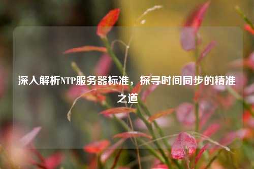 深入解析NTP服務(wù)器標(biāo)準(zhǔn)，探尋時(shí)間同步的精準(zhǔn)之道