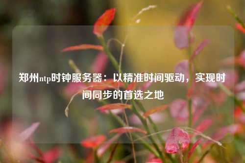 鄭州ntp時鐘服務(wù)器：以精準(zhǔn)時間驅(qū)動，實(shí)現(xiàn)時間同步的首選之地