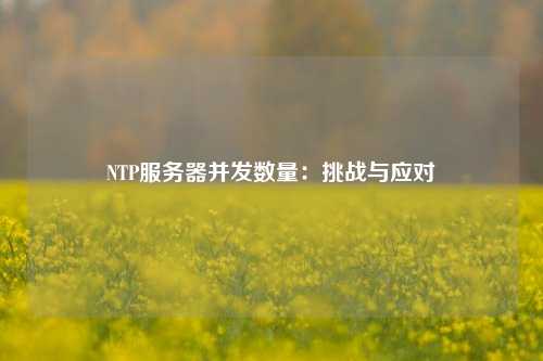 NTP服務器并發數量：挑戰與應對