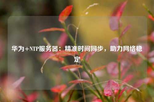 華為+NTP服務(wù)器：精準(zhǔn)時間同步，助力網(wǎng)絡(luò)穩(wěn)定