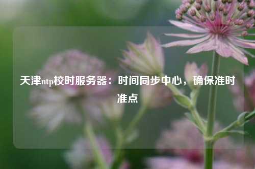 天津ntp校時服務器：時間同步中心，確保準時準點