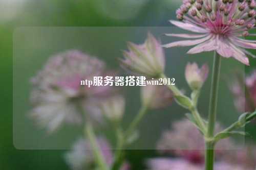 ntp服務器搭建win2012