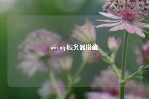 win ntp服務器搭建