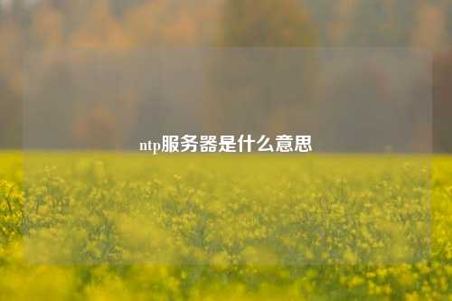 ntp服務器是什么意思